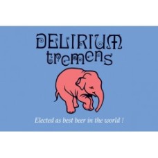 Delirium Tremens Bier Fust Vat 10 Liter