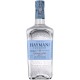 Hayman's Londen Dry Gin 70cl