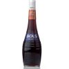 34129 bols creme de cacao bruin