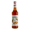 monin apple pie