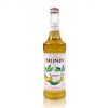 monin-banane