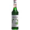 monin mint