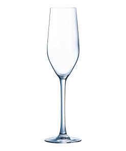 champagne_flute_wijnglas_doos_6_stuks_17cl