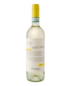 pasqua-le-collezioni-pinot-grigio-italie